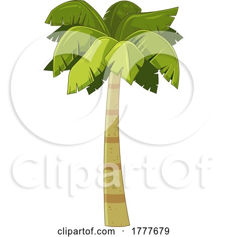 Tropical Palm Tree by Hit Toon