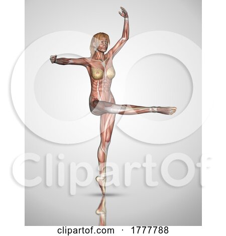3D Female Figure in Ballet Pose with Muscles Highlighted by KJ Pargeter