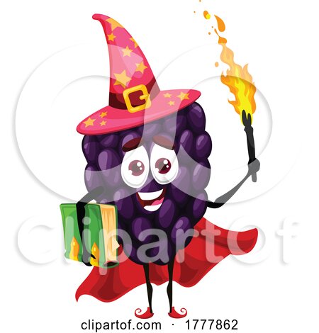 Wizard Blackberry Mascot by Vector Tradition SM
