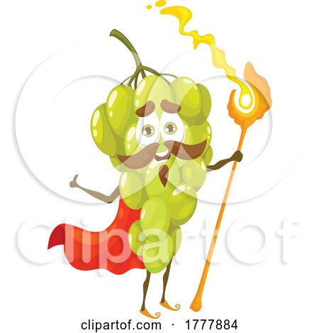 Wizard Grape Mascot by Vector Tradition SM
