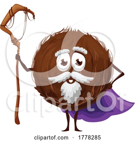 Wizard Coconut Food Mascot by Vector Tradition SM