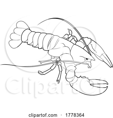 Cartoon Black and White Lobster by Hit Toon