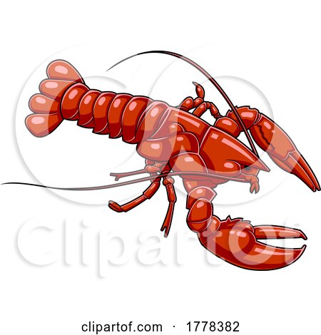 Cartoon Lobster by Hit Toon