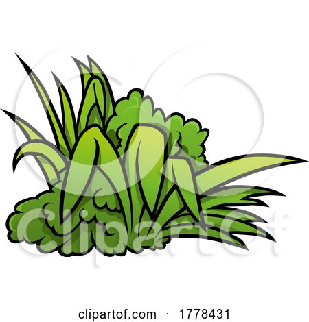 Plants by dero
