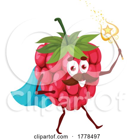 Wizard Raspberry Food Mascot Character by Vector Tradition SM