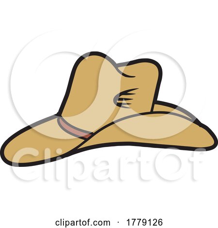 Cartoon Cowboy Hat by Johnny Sajem