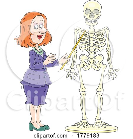 Cartoon Teacher and Anatomy Skeleton by Alex Bannykh