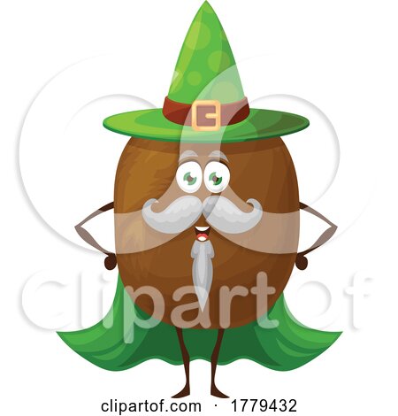 Wizard Kiwi Food Mascot Character by Vector Tradition SM