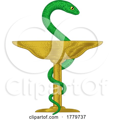 Bowl of Hygieia Snake Medical Pharmacy Symbol Icon by AtStockIllustration