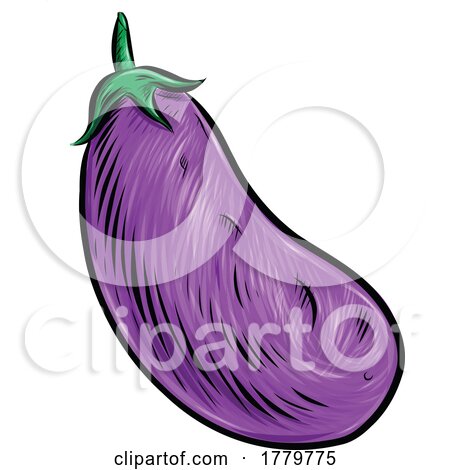 Eggplant Vegetable by Domenico Condello