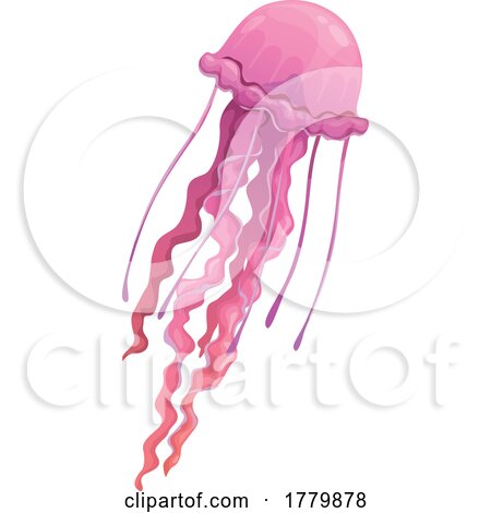 Jellyfish by Vector Tradition SM