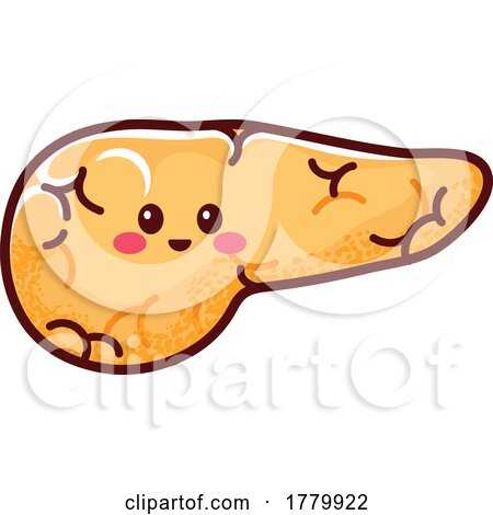 Human Pancreas Mascot by Vector Tradition SM