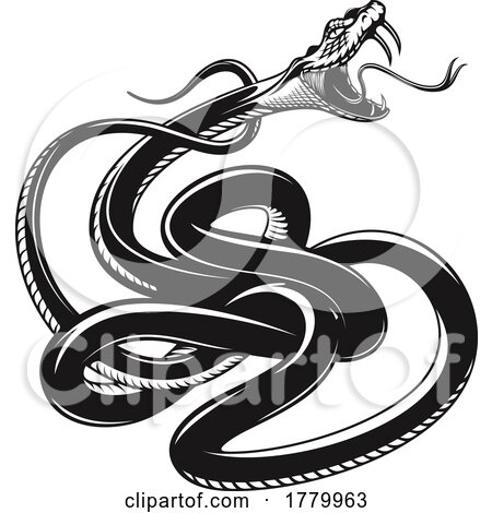 Black and White Angry Viper Snake by Vector Tradition SM