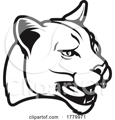 Black and White Cougar Mountain Lion Puma Mascot Head by Vector Tradition SM