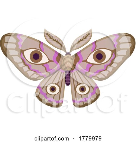 Moth with Eye Patterns by Vector Tradition SM