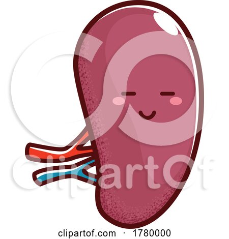 Happy Kidney by Vector Tradition SM