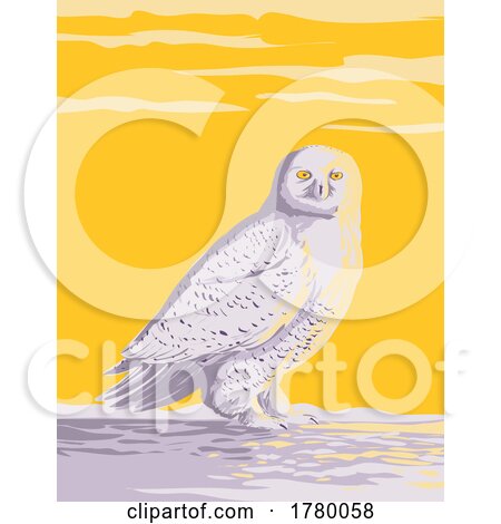Snowy Owl Polar Owlwhite Owl or Arctic Owl in the Tundra of the Arctic Regions of North America WPA Poster Art by patrimonio