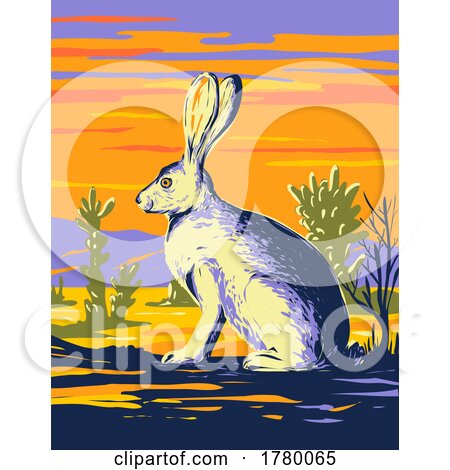 American Desert Hare in Joshua Tree National Park in the Mojave Desert California WPA Poster Art by patrimonio