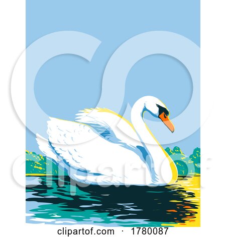 Mute Swan or Cygnus Olor Swimming in Lake Viewed from Side WPA Poster Art by patrimonio