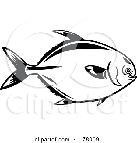 Golden Pompano Fish or Trachinotus in the Family Carangidae Viewed from Side Mascot Retro Black and White by patrimonio