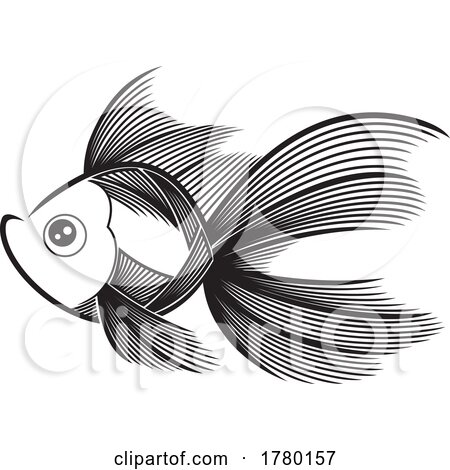 Fancy Goldfish in Black and White by Hit Toon