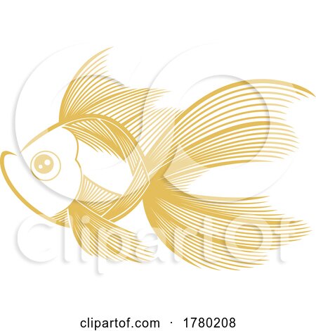 Fancy Goldfish by Hit Toon
