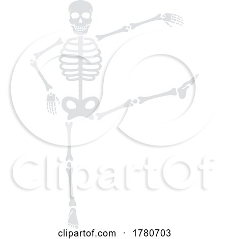 Skeleton by Vector Tradition SM