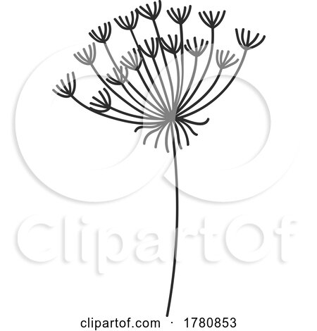Dandelion Seed Head Wishy Blow by Vector Tradition SM