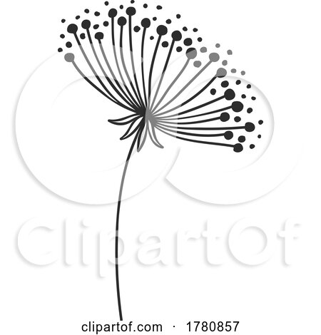Dandelion Seed Head Wishy Blow by Vector Tradition SM