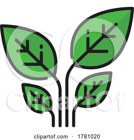 Organic Green Leaf Design by Vector Tradition SM