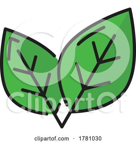 Organic Green Leaf Design by Vector Tradition SM