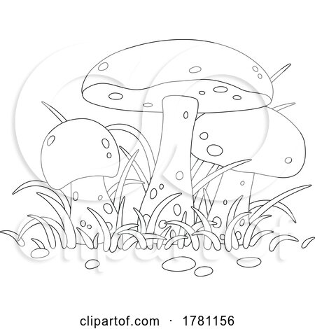 Mushrooms and Grass by Alex Bannykh