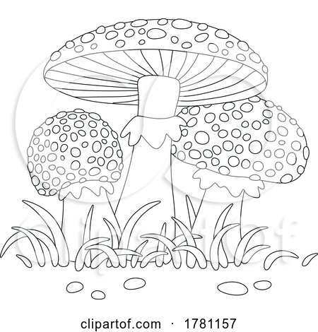 Fly Agaric Mushrooms and Grass by Alex Bannykh