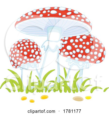 Fly Agaric Mushrooms and Grass by Alex Bannykh