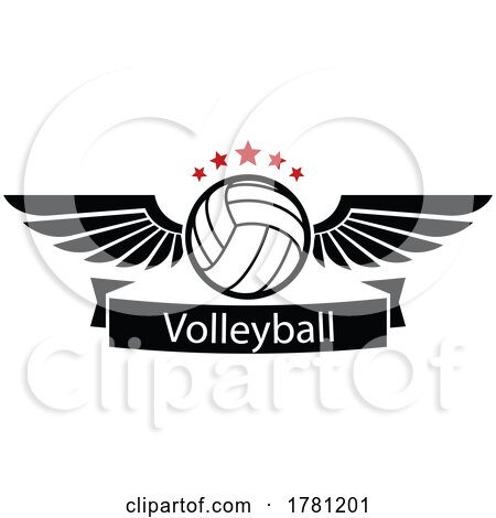 Winged Volleyball Design by Vector Tradition SM