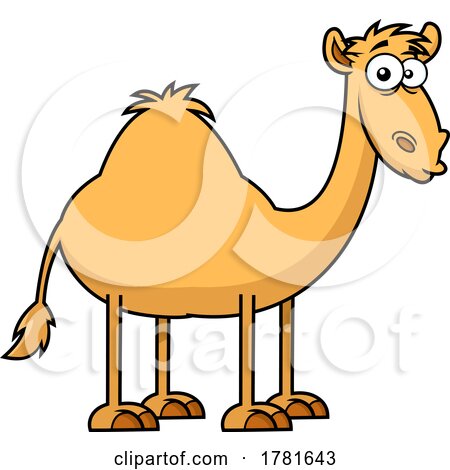 Cartoon Camel by Hit Toon