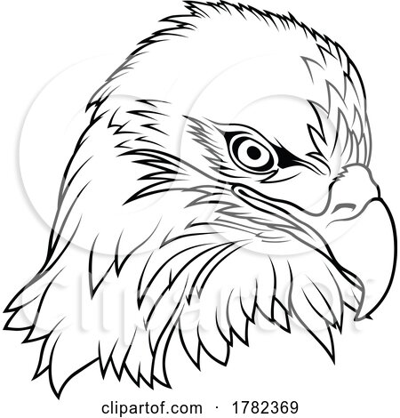 Black and White Eagle Head by dero