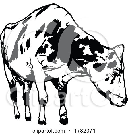 Black and White Spotted Dairy Cow by dero