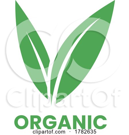 Organic Icon with Green Leaves by cidepix