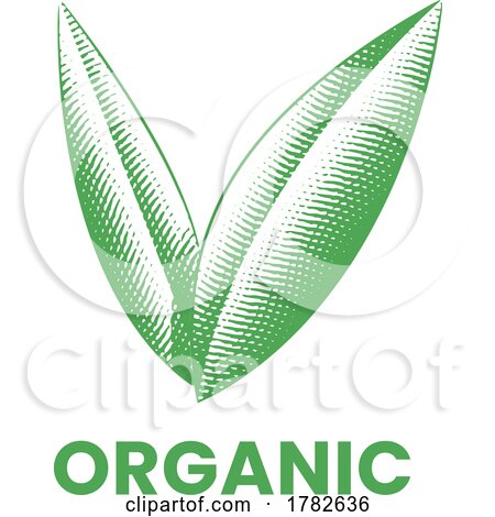 Organic Icon with Green Engraved Leaves by cidepix