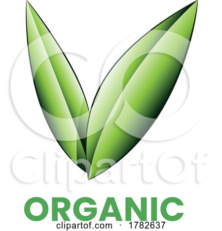 Organic Icon with Shaded Green Leaves by cidepix