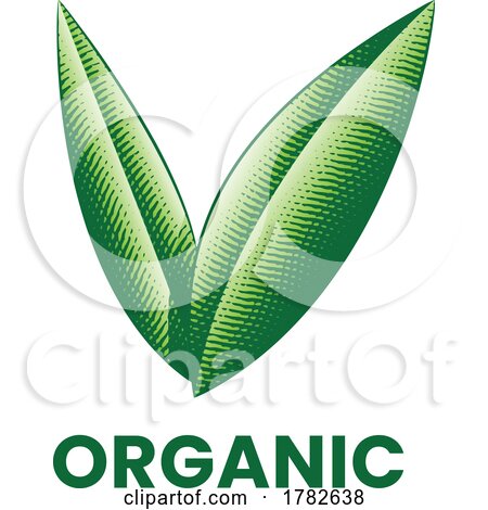 Organic Icon with Engraved Green Leaves by cidepix