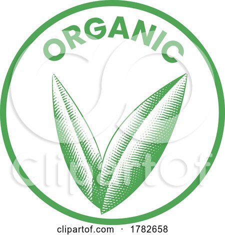 Organic Round Icon with Engraved Green Leaves - Icon 1 by cidepix