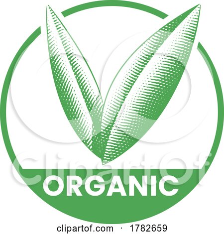 Organic Round Icon with Engraved Green Leaves - Icon 2 by cidepix