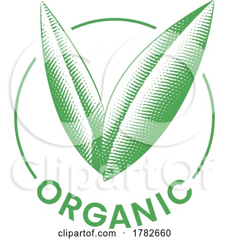 Organic Round Icon with Engraved Green Leaves - Icon 3 by cidepix