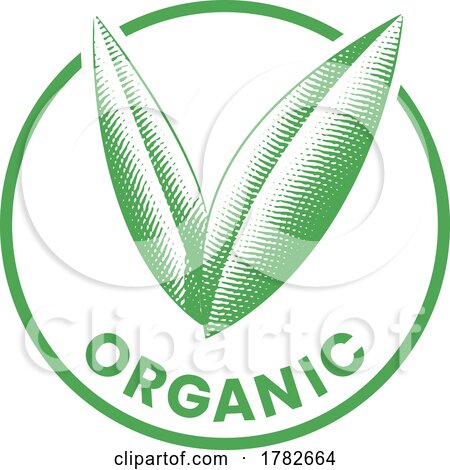 Organic Round Icon with Engraved Green Leaves - Icon 7 by cidepix