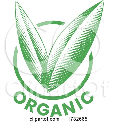 Organic Round Icon with Engraved Green Leaves - Icon 8 by cidepix