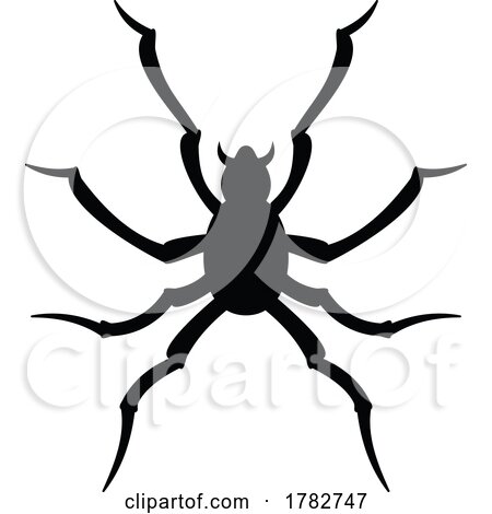 Silhouetted Spider by Any Vector