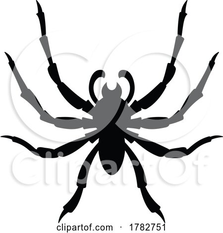 Silhouetted Spider by Any Vector