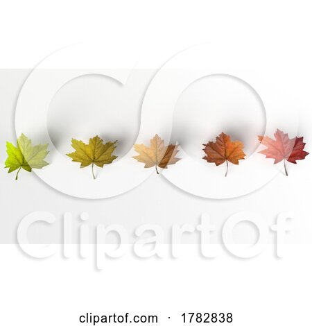 3d Autumn Maple Leaves on a White Background by KJ Pargeter